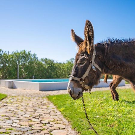 Burro Ville By Host Wise Portimão Exteriér fotografie