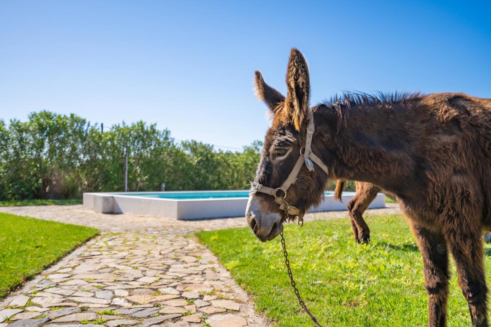 Burro Ville By Host Wise Portimão Exteriér fotografie