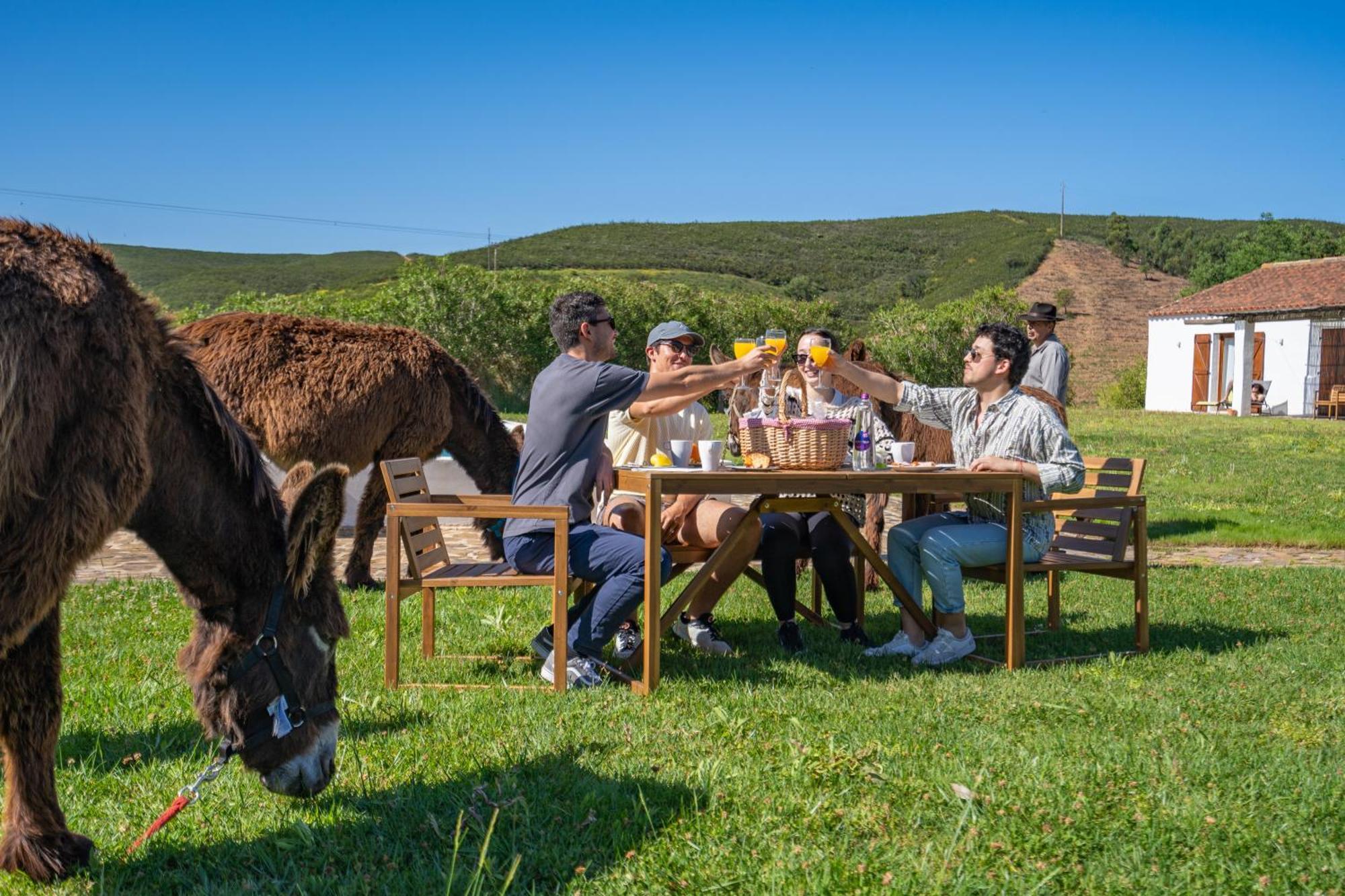 Burro Ville By Host Wise Portimão Exteriér fotografie