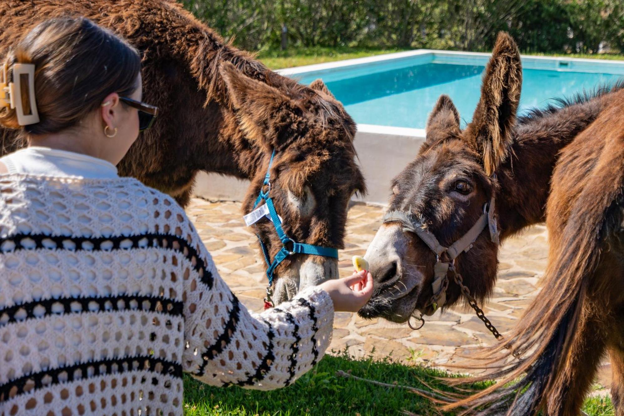 Burro Ville By Host Wise Portimão Exteriér fotografie